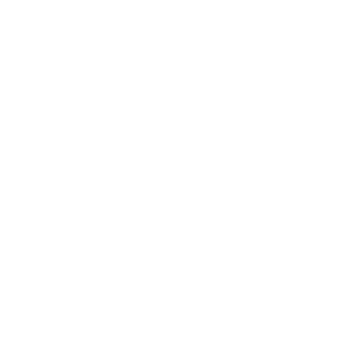 Dline Systems | undefined Logo