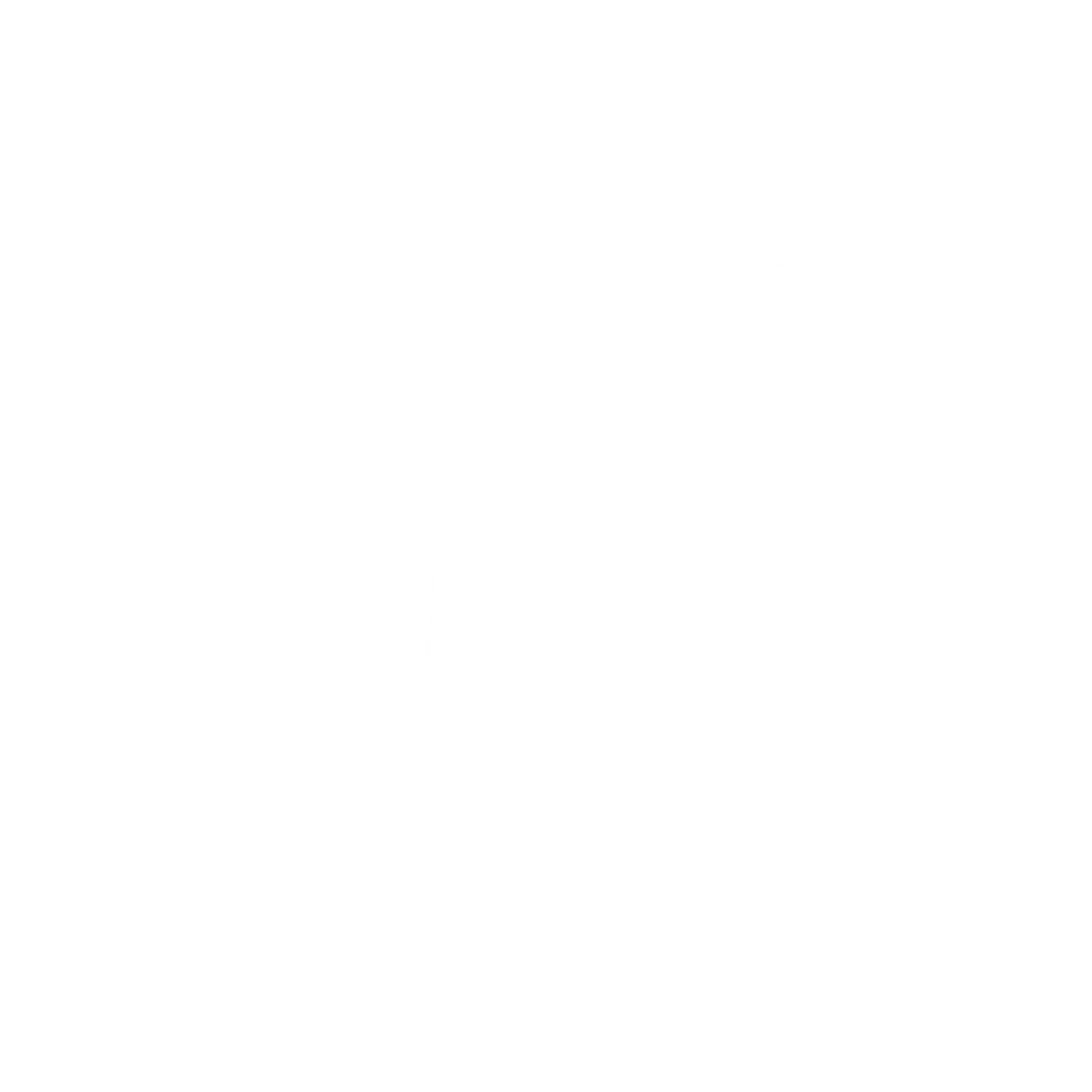 Dline Systems | undefined Logo